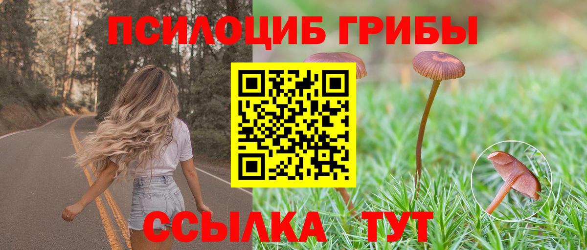 Псилоцибиновые грибы Psilocybine cubensis  Вход с VPN  Севастополь 